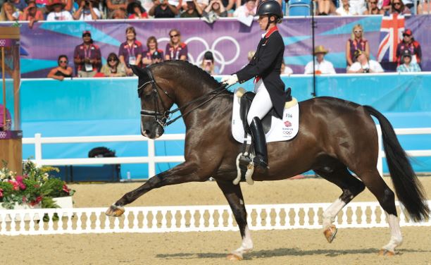 Garat me kuaj jashtë Lojërave Olimpike? Nis peticioni kundër abuzimit me kafshët