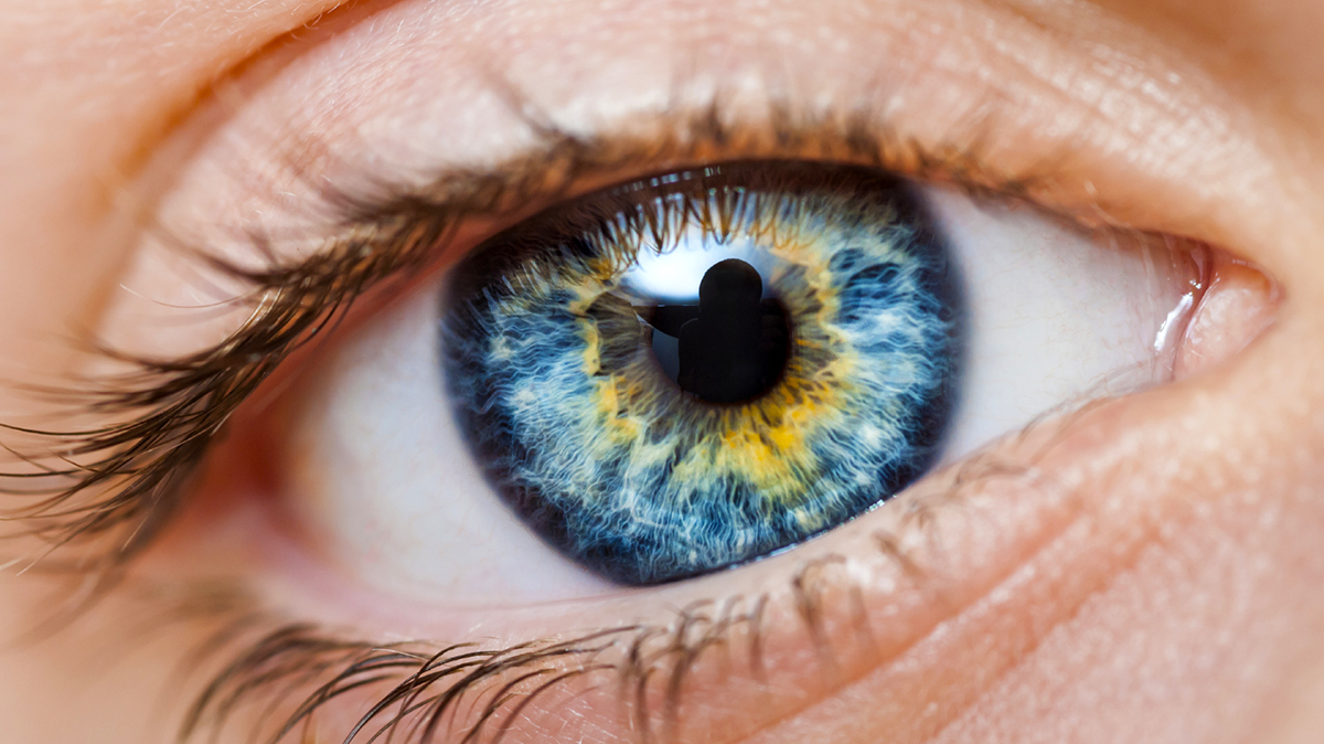Ngjyrat e syve – Çfarë duhet të dini për to?
