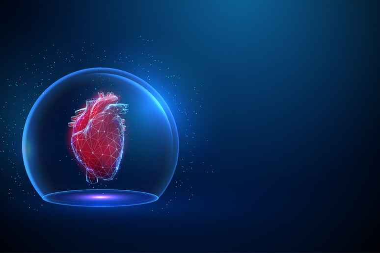 Çfarë është perikarditi dhe cilat janë shkaqet e inflamacionit të zemrës