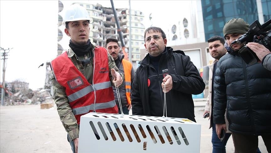 Autoritetet mobilizohen për të shpëtuar macet nga blloku i dëmtuar rëndë nga tërmeti në Turqi