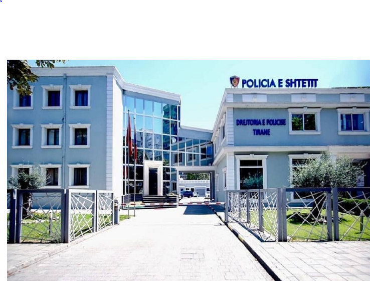 Kokainë, sherre dhe dhunë në familje, në pranga 10 persona në Tiranë, katër në ndjekje penale