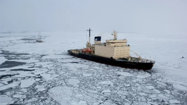 Zbulimi i tmerrshëm në Polin e Veriut: Çfarë i frikëson shkencëtarët