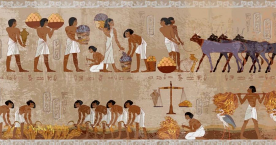 Gjashtë fakte befasuese për skllevërit egjiptianë