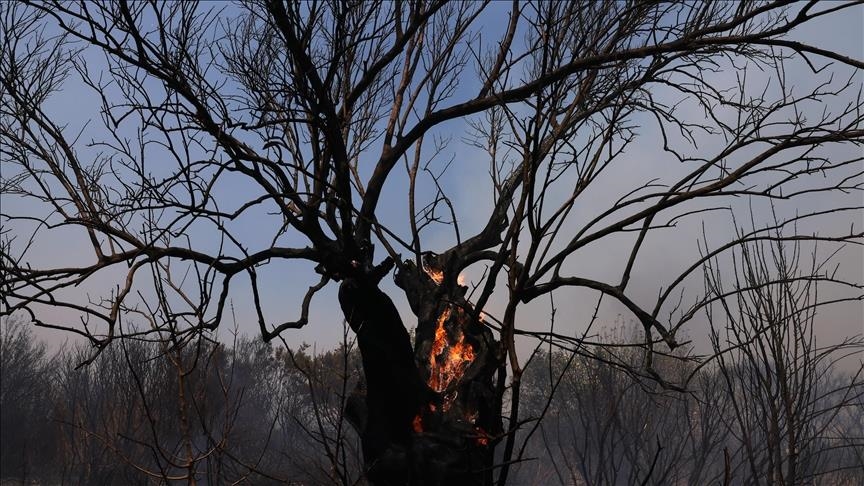 Greqia përballë rrezikut nga zjarret për shkak të valës ekstreme të nxehtësisë
