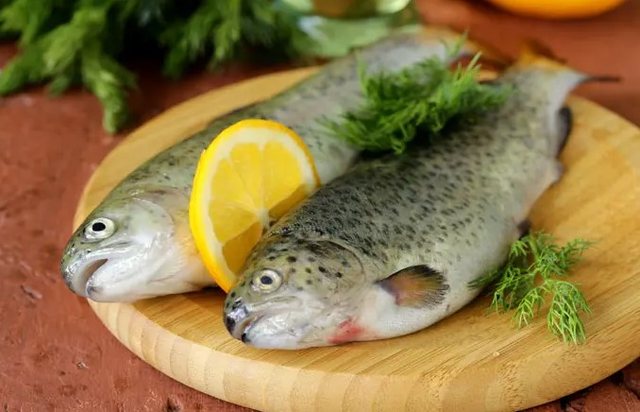 Tre lloje peshqish që mjekët rekomandojnë mos t'i konsumoni