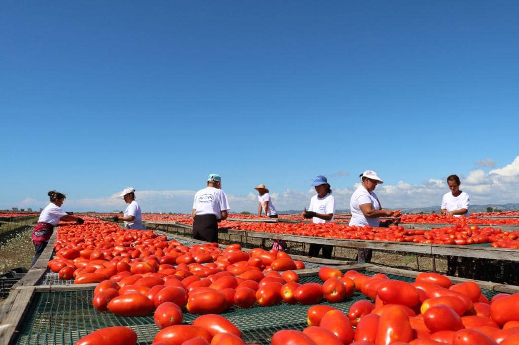 Shkëmbimet tregtare me Maqedoninë e Veriut, kryesojnë eksportet bujqësore
