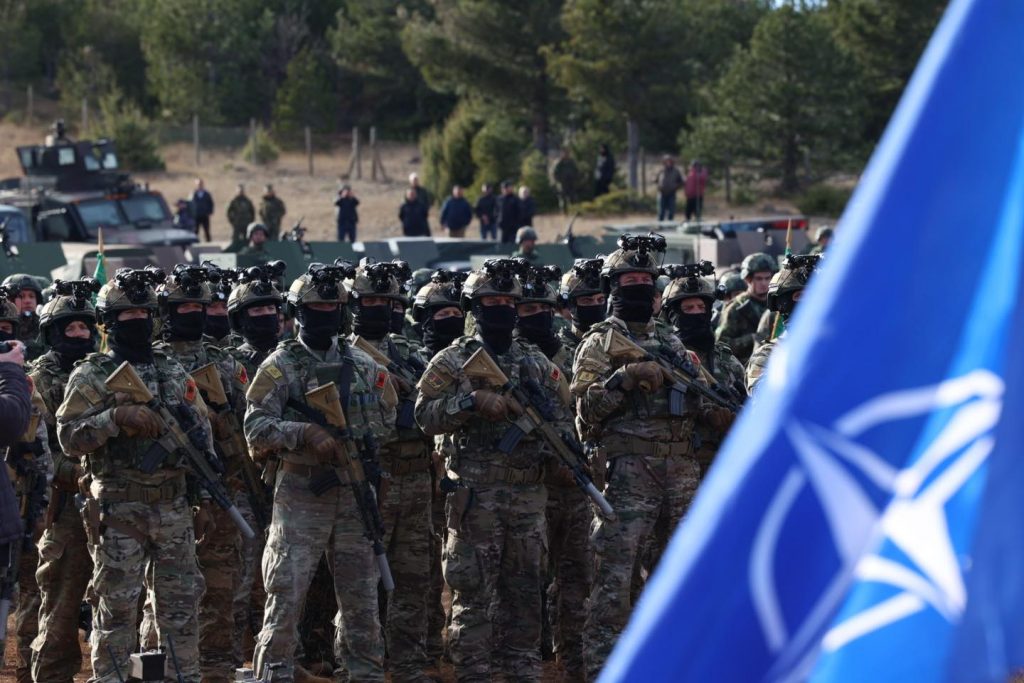 Peleshi: Koncepti strategjik i NATO-s, udhërrëfyes për përshtatjen e politikave të sigurisë