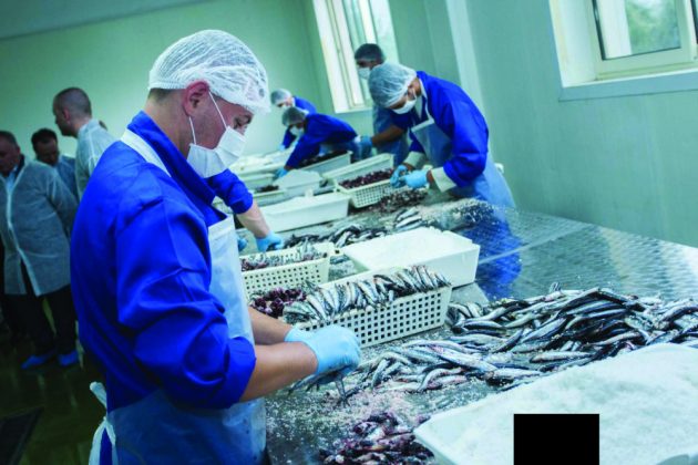 AKU, përvojë evropiane në sigurinë ushqimore për produktet e peshkut