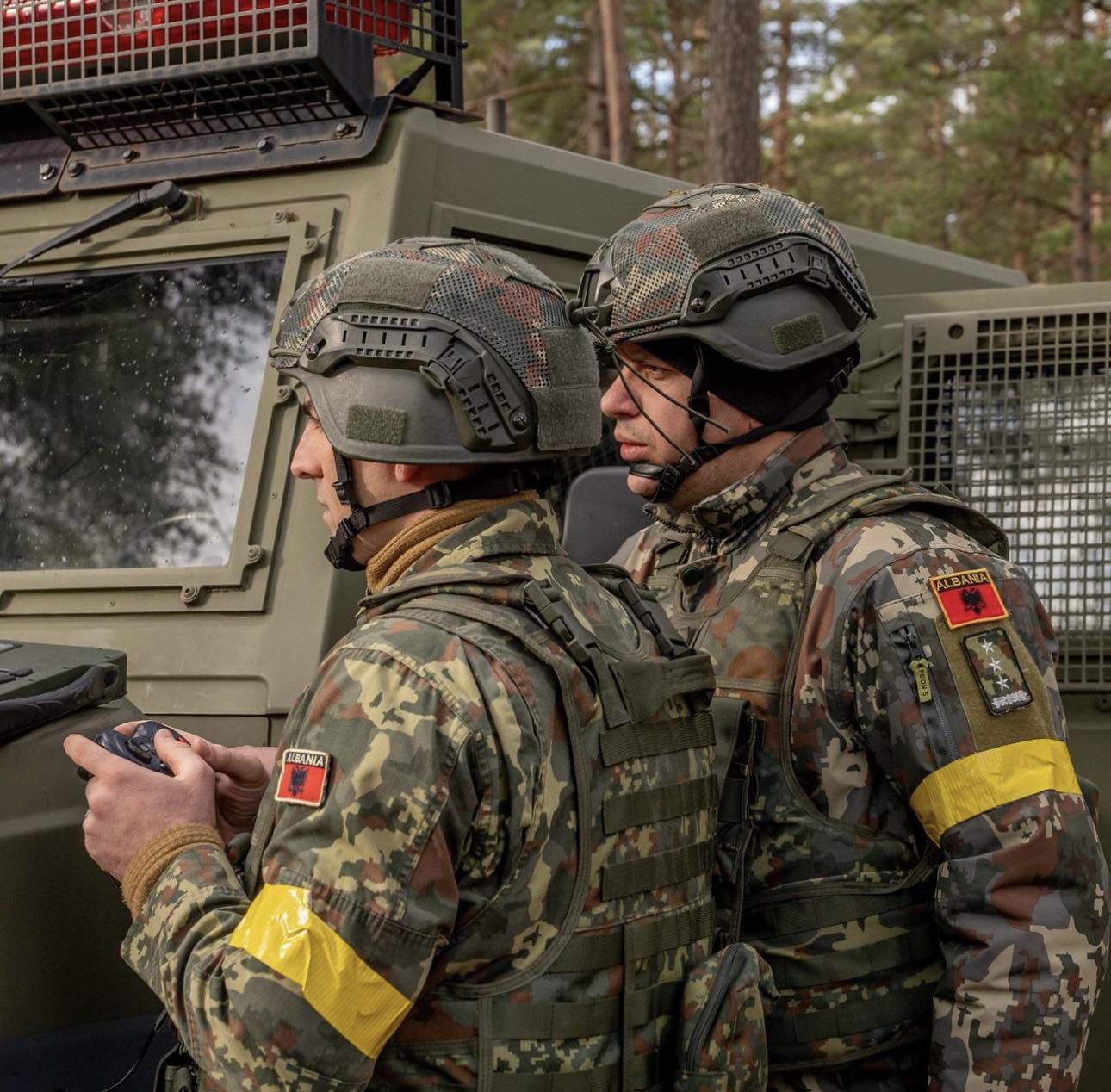 Peleshi: Shqipëria, kontribut në mbrojtjen kolektive të NATO-s