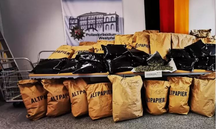Çmontohet plantacioni i drogës në Gjermani, arrestohen 4 shqiptarë dhe sekuestrohen 151 kg marijuanë
