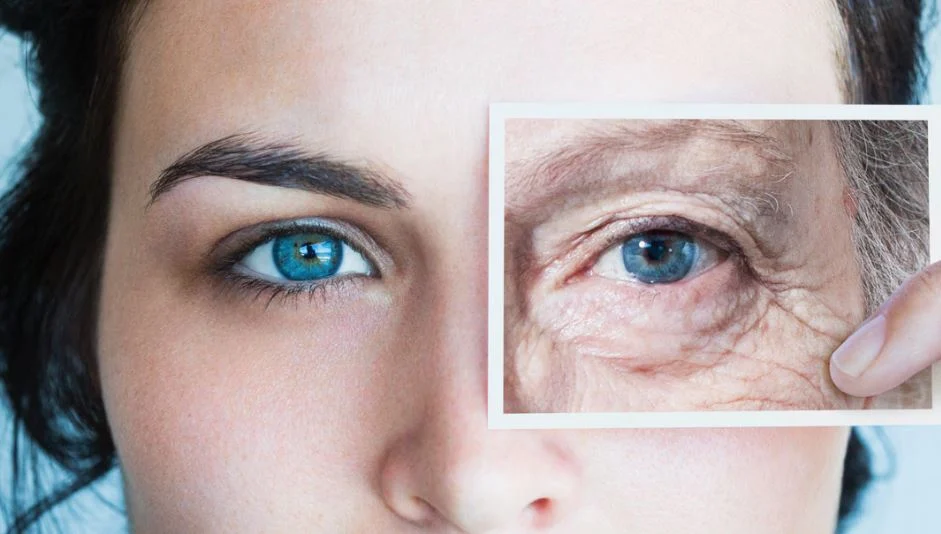 Çfarë thotë shkenca për plakjen? Menopauza dhe andropauza, si ndikon në mosha të ndryshme