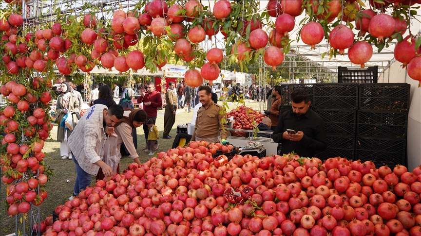 Irak, nis festivali tradicional i shegës në qytetin Halabja