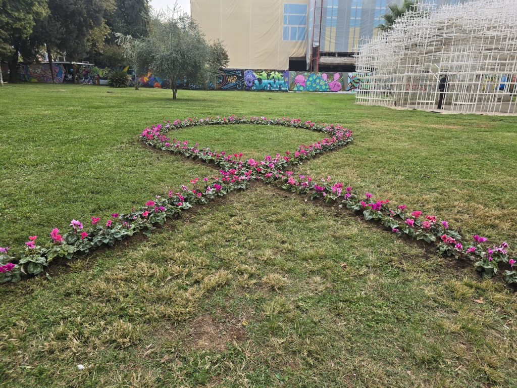 Bashkia e Tiranës vendos fjongo me lule rozë në qendër, simbol i mbështetjes për gratë dhe vajzat