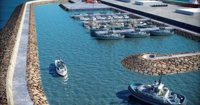 Kristo: Eksportet e produkteve të detit u rritën me 8 milionë euro