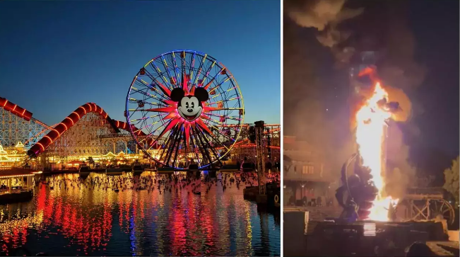Merr flakë dragoi gjigand në Disneyland, vizitorët në panik për të shpëtuar