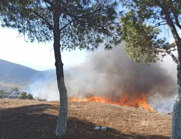 Rikthehen zjarret në Greqi, raportohet për një viktimë në afërsi të Athinës