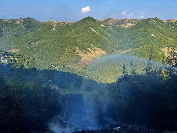 Shuhen të gjitha vatrat e zjarrit në vend, Peleshi: Situata në grumbullimin e plehrave në Elbasan, në monitorim