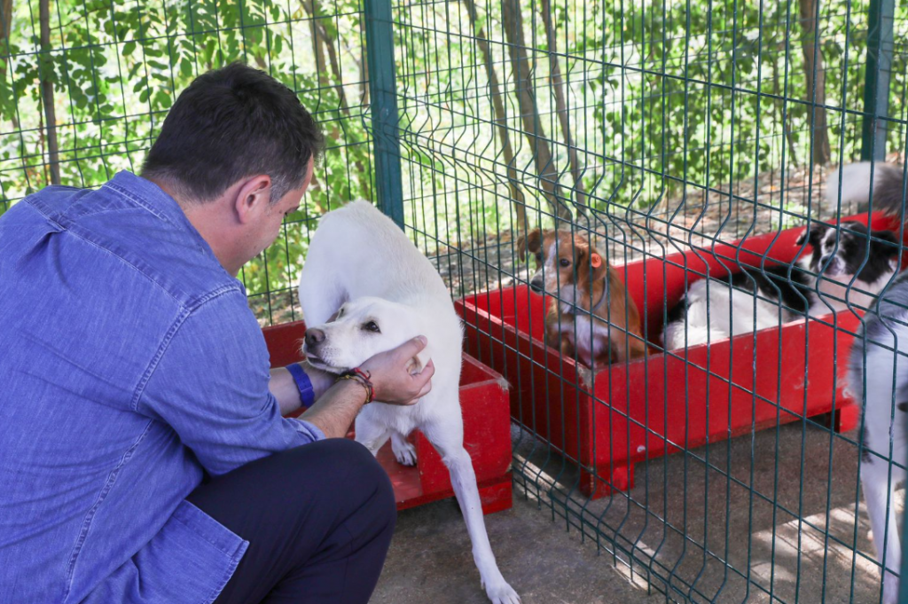 Veliaj tek “Streha e kafshëve” në Tiranë apel qytetarëve: Mos i braktisni në rrugë, i sillni për adoptim