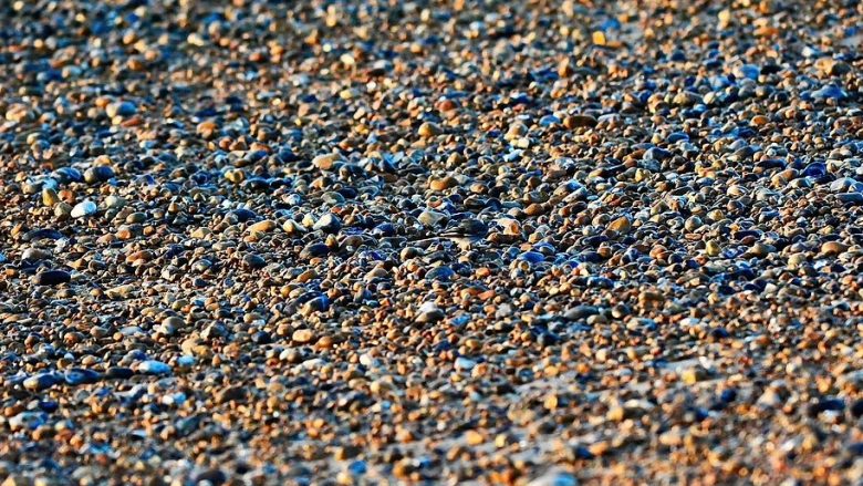 A mund ta dalloni zogun cili është i kamufluar në mënyrë të përkryer në një plazh me guralecë?