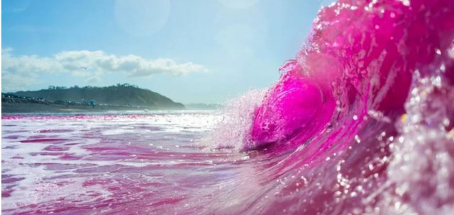 Çfarë ndodhi në San Diego që valët u bënë ngjyrë rozë?
