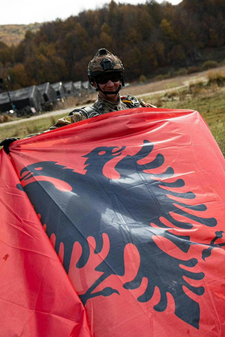 Peleshi: Shqipëria, përkushtim të vërtetë ndaj paqes dhe stabilitetit në rajon e në botë