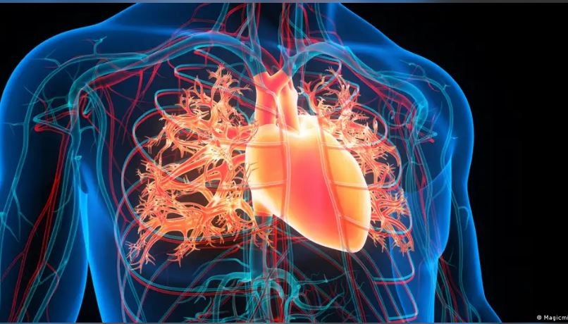 Inteligjenca artificiale mund të parashikojë infarktet e zemrës