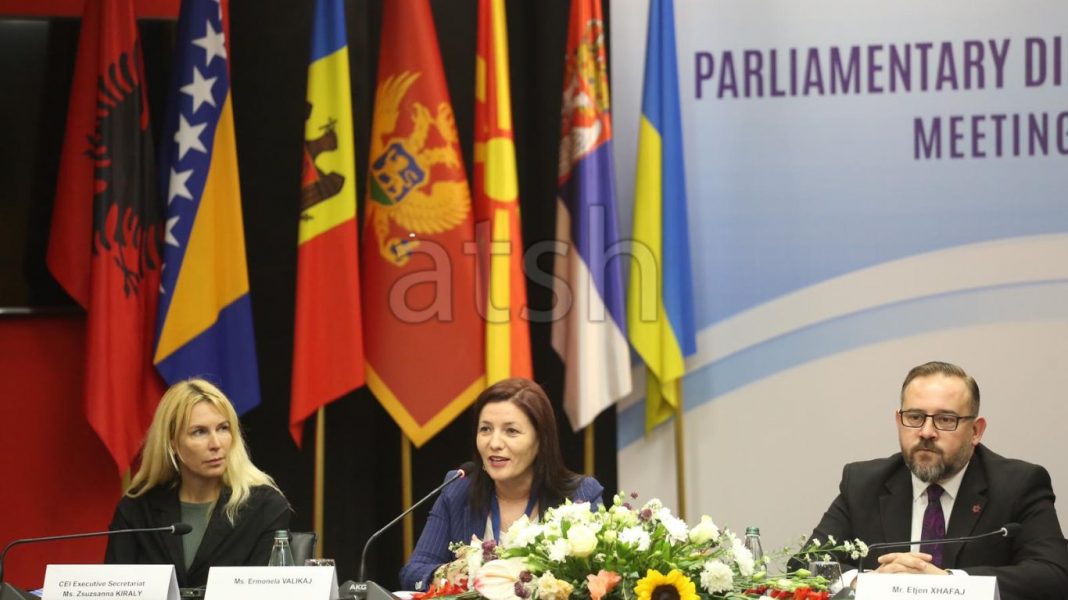 Presidenca e Asamblesë Parlamentare të Nismës për Evropën Qendrore, Felaj: Përgjegjësi dhe detyrim