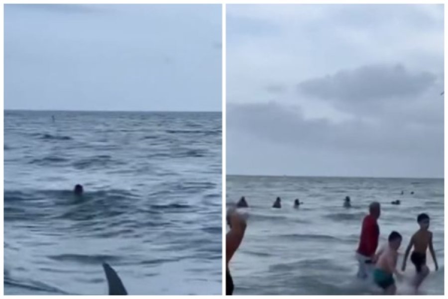 Peshkaqeni noton mes njerëzve në plazhin e Floridas, shtangen pushuesit