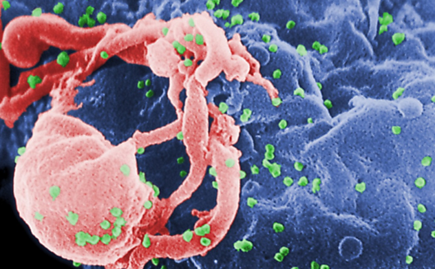 Dikur qendra e epidemisë së HIV, Sidnei vendi i parë drejt eliminimit të transmetimit