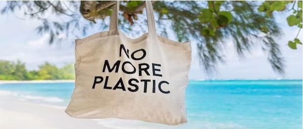Dita Ndërkombëtare Pa Qese Plastike