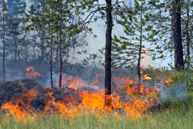 Siberi, gjendje e jashtëzakonshme për shkak të zjarreve në pyje