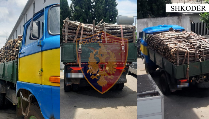Shkodër/ U kapën duke transportuar dru për zjarr pa leje, nën hetim dy persona 