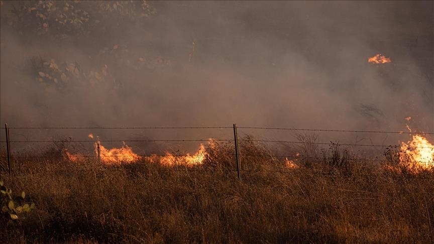 SHBA, evakuohen 1.200 persona për shkak të zjarreve pyjore