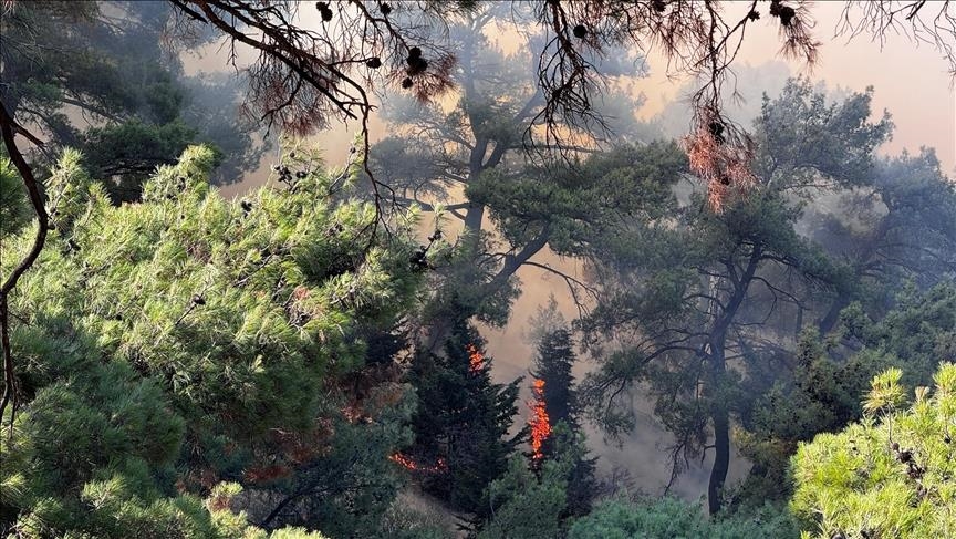 Vazhdojnë operacionet ajrore për shuarjen e zjarreve në Türkiyen perëndimore