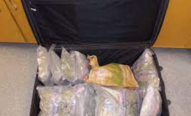 Priste valixhen më 12 kg marjuanë, por policia i prish planet. Pranga për 30-vjeçarin shqiptar në Itali