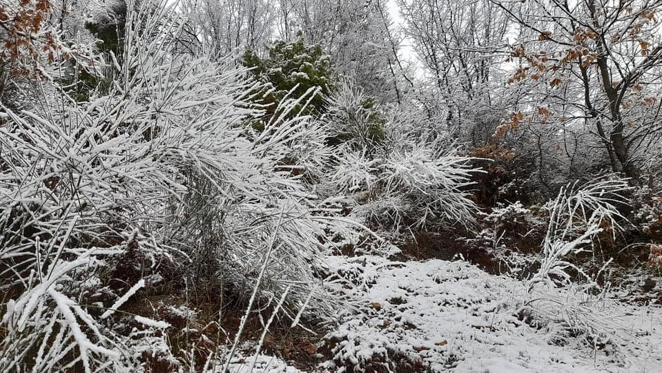 Parku Natyror i Qafështamës, destinacion dimëror fare pranë kryeqytetit