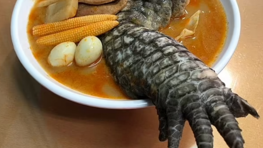 Supë me këmbë krokodili, pjata e pazakontë që po shërbehet në restorantin tajvanez
