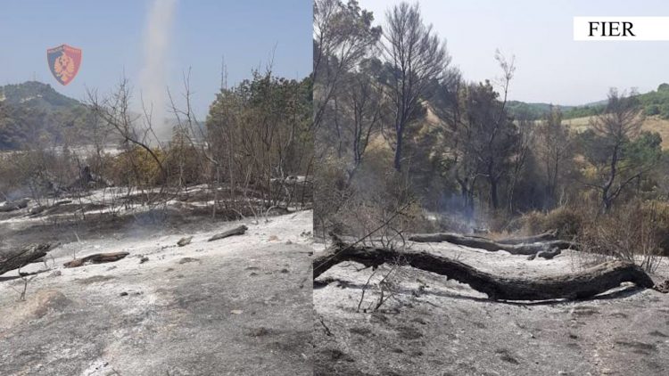 Zjarri në Peshtan/ Arrestohet 28-vjeçari: I vuri flakën pyllit për hapjen e kullotave