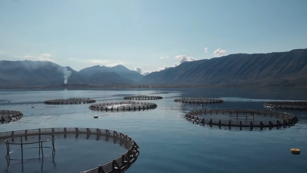 Akuakultura, Denaj: Rrisim në 30 mijë ton prodhimin deri në vitin 2030