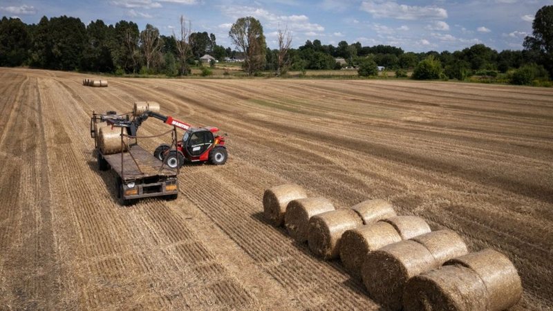 Blegtorët në Shqipëri të “etur” për para’ – Mbi 15.500 fermerë shpallen fitues të subvencioneve në bujqësi