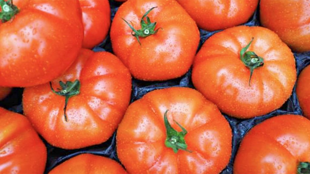 Përfitimet e lëngut të domates për shëndetin e zemrës dhe uljen e kolesterolit, ja sa duhet të konsumoni