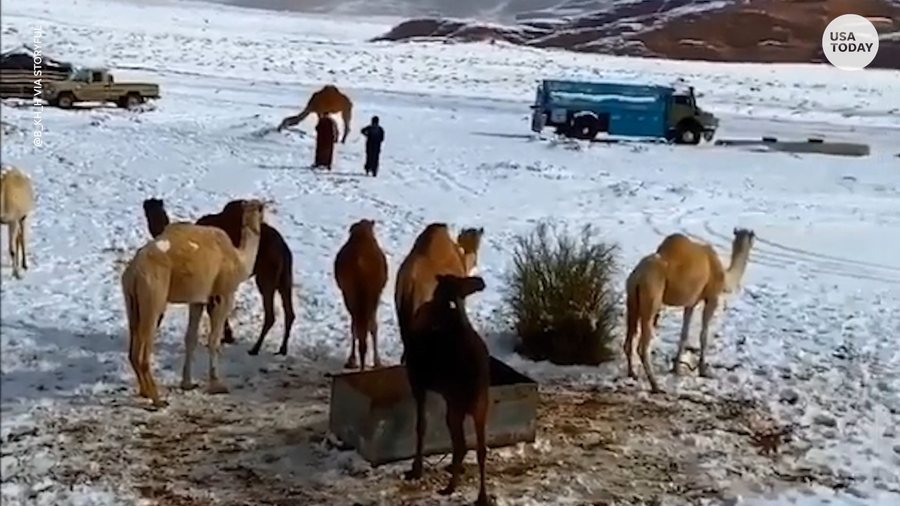 Borë në shkretëtirë? – Fenomeni i rrallë në Arabinë Saudite, një konfirmimin i ndryshimeve klimatike!