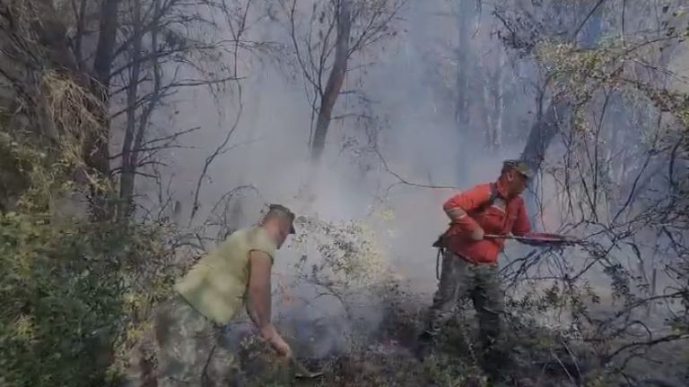 Pylli i Pishporos në Fier prej ditësh në flakë, tërhiqen forcat zjarrfikëse, kërkohet ndërhyrja nga ajri për fikjen e zjarrit