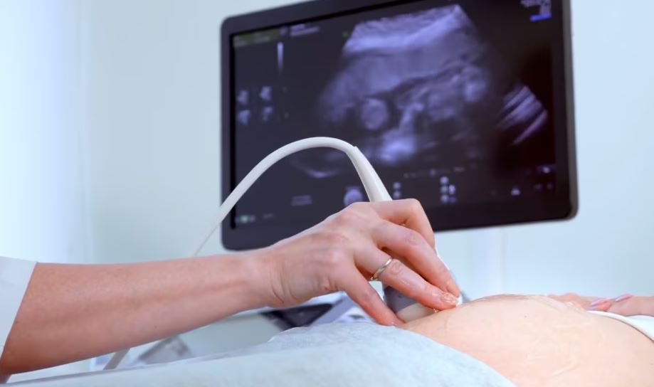 Ligji për shëndetin riprodhues, ekspertët për surrogacinë: Duhet të ketë kritere shumë të forta!