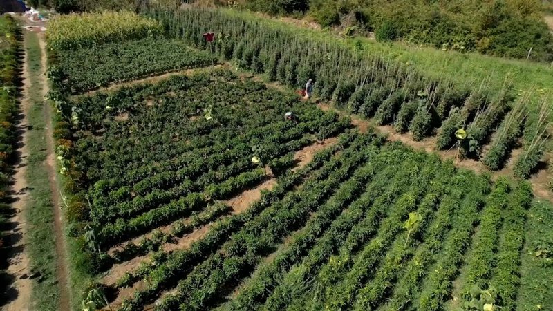 Shqipëri, fermerët e vegjël sfidojnë vështirësitë për të mbështetur turizmin