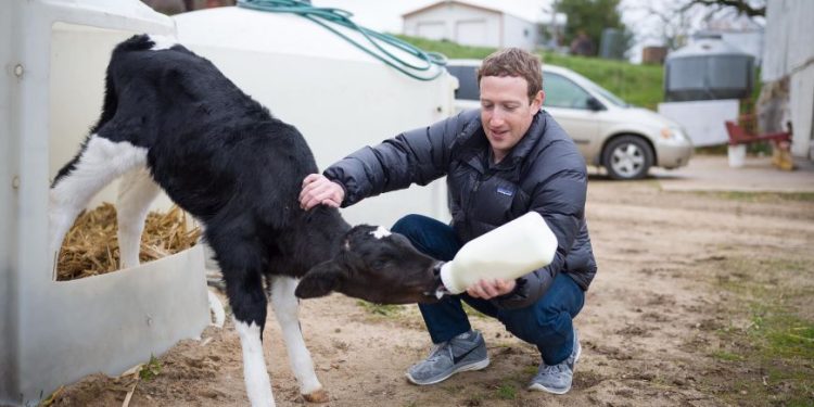 Zuckerberg, nga teknologjia në blektori