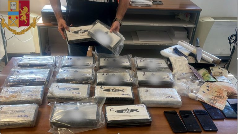 Kapen me 19 kg kokainë dhe mijëra euro në banesë, arrestohen 3 shqiptarë në Itali