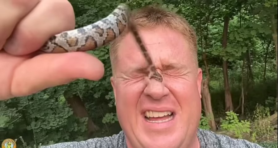 Gjithçka për klikime, YouTuberi le gjarprin ta kafshojë 50 herë