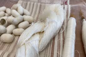 Në Dajç të Lezhës ruhet tradita e prodhimit të mëndafshit! Lejla Bejleri prej 50 vitesh ushtron këtë profesion: Detyrim moral t'ua përcjellim brezave