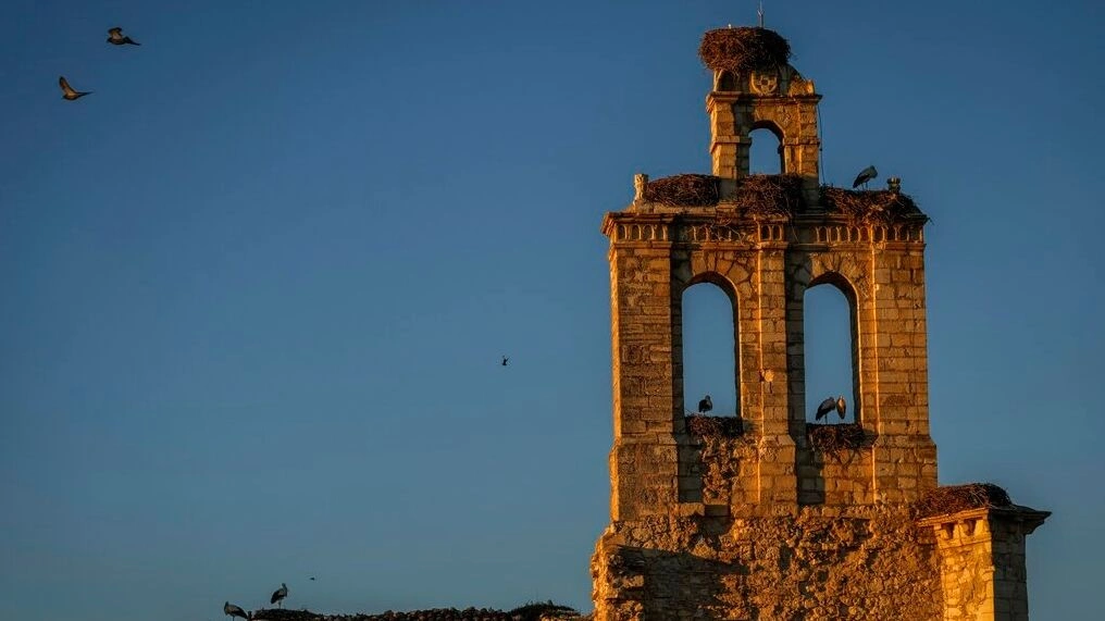 Tronditet sërish Valencia, sulm në manastir, vritet një prift dhe plagosen 7 murgj